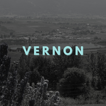 Load image into Gallery viewer, Eyelash Extensions Master Class - Vernon, BC Group Training