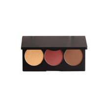 Load image into Gallery viewer, Pro Cheek Palette