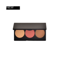 Load image into Gallery viewer, Pro Cheek Palette