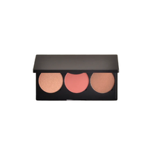 Load image into Gallery viewer, Pro Cheek Palette